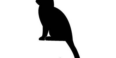 Животные 3043