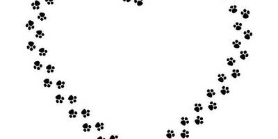 Животные 3050