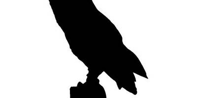 Животные 2337