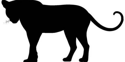 Животные 1203