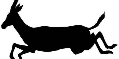 Животные 718