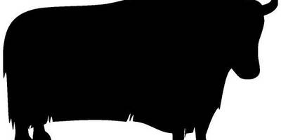 Животные 748