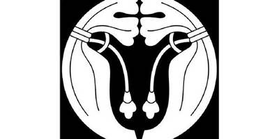 Японский узор 2404