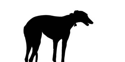 Животные 4065