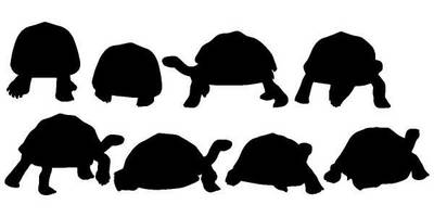 Животные 1351