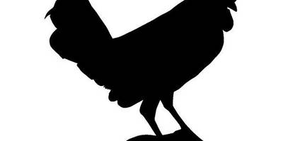 Животные 1304