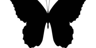 Животные 1187