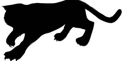 Животные 642