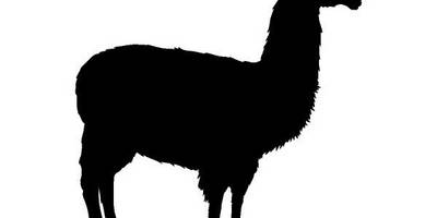 Животные 670