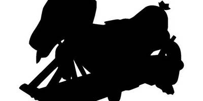 Животные 4167