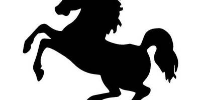 Животные 3552