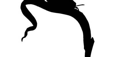 Животные 2928