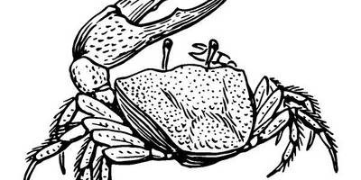 Животные 3783