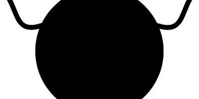 Животные 550