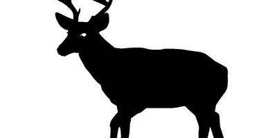 Животные 1328