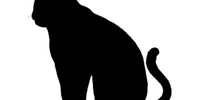 Животные 3354