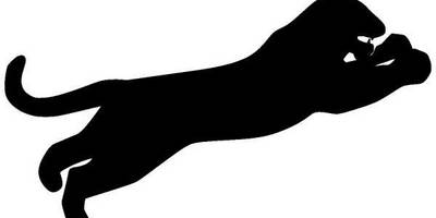 Животные 734