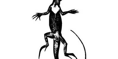 Животные 2763