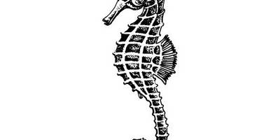 Животные 3814