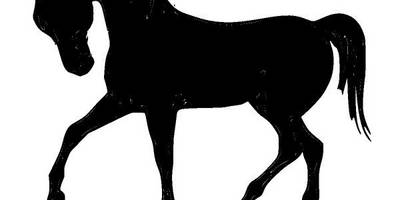 Животные лошадь 761