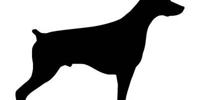 Животные 1125