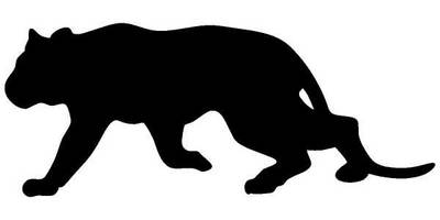 Животные 365