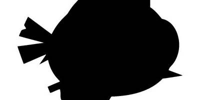 Животные 2936