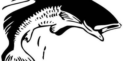 Животные 681