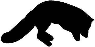 Животные 1284