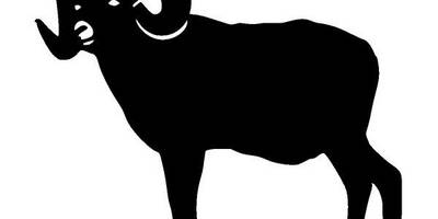 Животные 1333