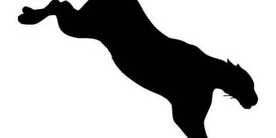 Животные 378