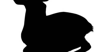 Животные 687