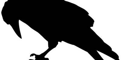 Животные 3406