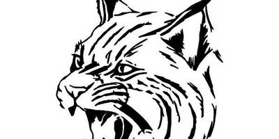 Животные тигр 668