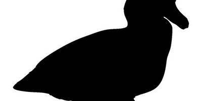 Животные 406