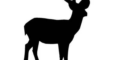 Животные 730