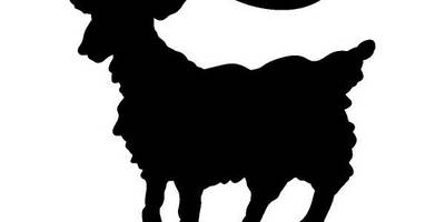 Животные 3634