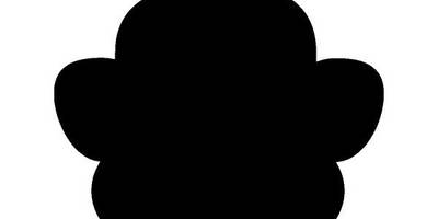 Животные 256