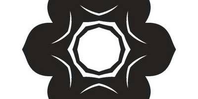 Орнамент цветы 272