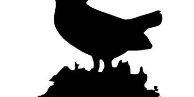 Животные 931