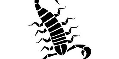 Животные 3052