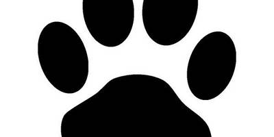 Животные 2383