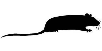 Животные 1480