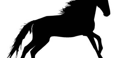 Животные 3938