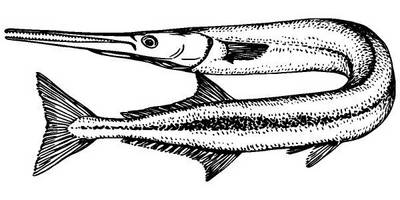 Животные 3788