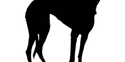 Животные 4066