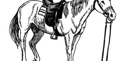 Животные 547