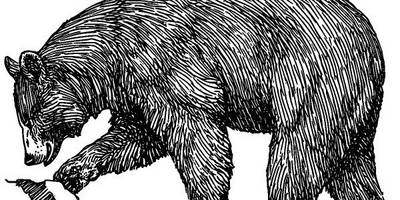 Животные 215