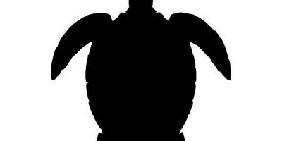 Животные 1618