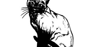 Животные 332